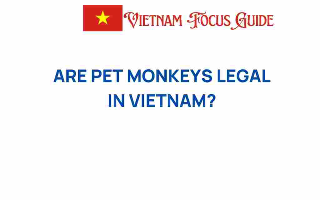are-pet-monkeys-legal-in-vietnam