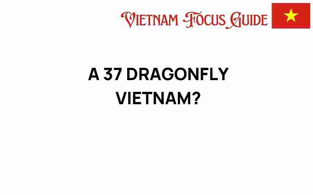 37-dragonfly-vietnam