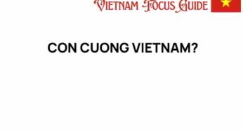 Discover the Hidden Gem of Con Cuong, Vietnam: A Journey Awaits