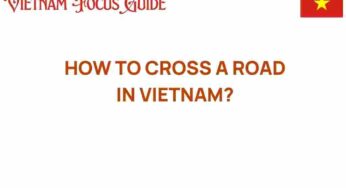 Mastering the Art of Crossing a Road in Vietnam: A Guide