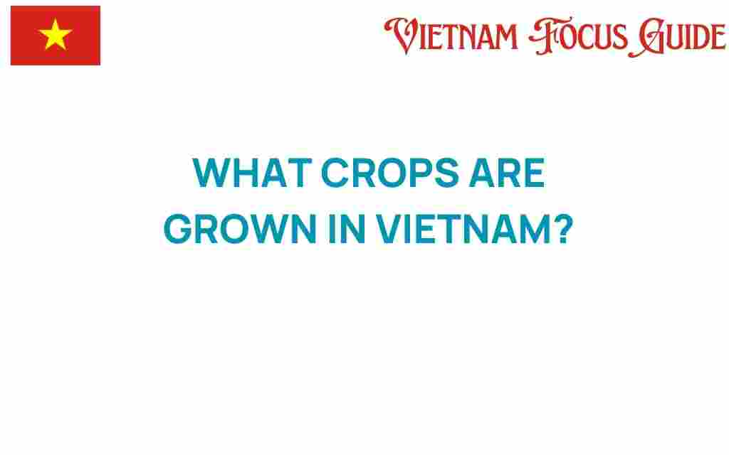 vietnam-crops-grown-diverse-landscape