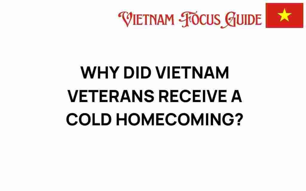 cold-homecoming-vietnam-veterans